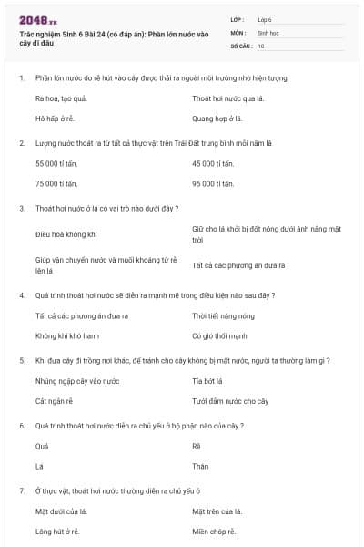 Trắc nghiệm Sinh 6 Bài 24 (có đáp án): Phần lớn nước vào cây đi đâu