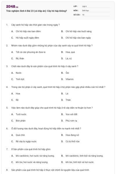 Trắc nghiệm Sinh 6 Bài 23 (có đáp án): Cây hô hấp không?