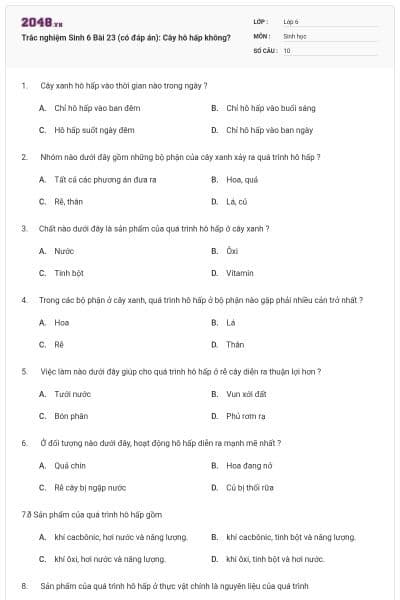 Trắc nghiệm Sinh 6 Bài 23 (có đáp án): Cây hô hấp không?