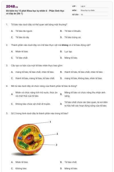 Đề kiểm tra 15 phút Khoa học tự nhiên 6 - Phần Sinh Học có đáp án (Đề 1)