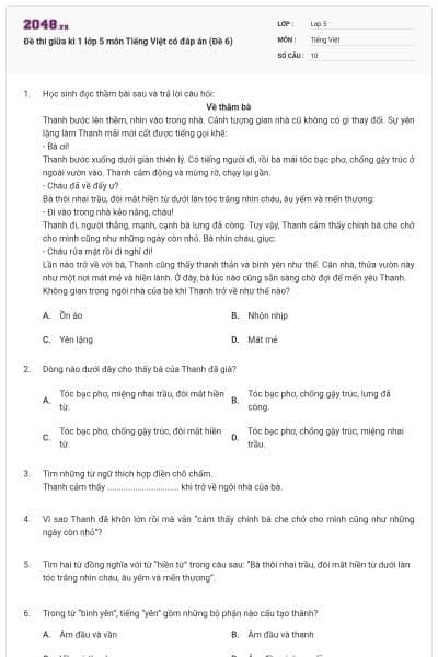 Đề thi giữa kì 1 lớp 5 môn Tiếng Việt có đáp án (Đề 6)