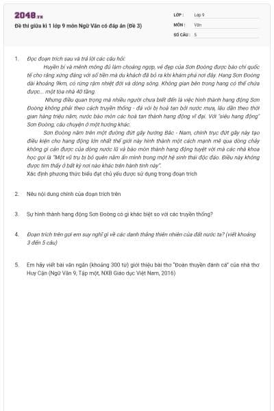 Đề thi giữa kì 1 lớp 9 môn Ngữ Văn có đáp án (Đề 3)