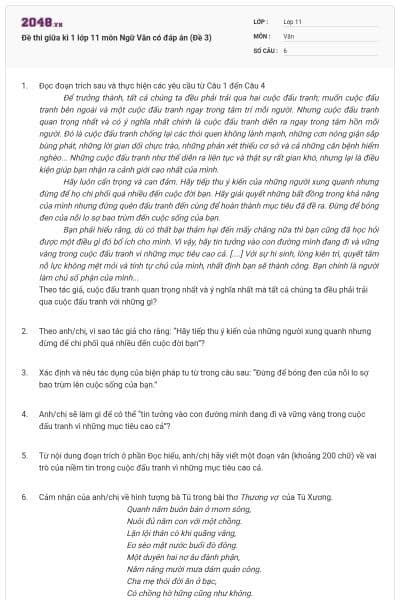 Đề thi giữa kì 1 lớp 11 môn Ngữ Văn có đáp án (Đề 3)