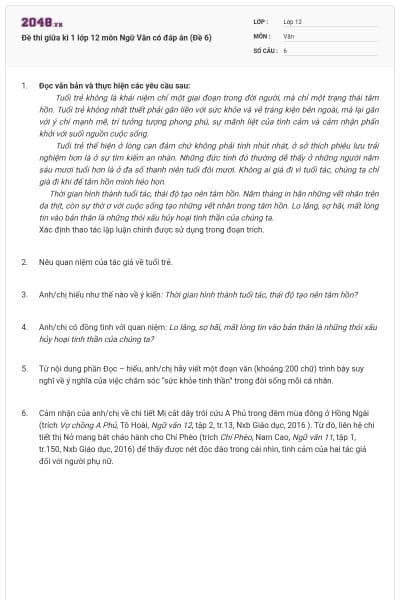 Đề thi giữa kì 1 lớp 12 môn Ngữ Văn có đáp án (Đề 6)