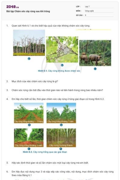 Bài tập Chăm sóc cây rừng sau khi trồng