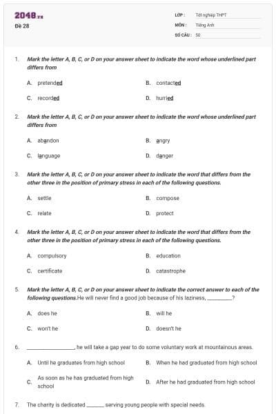 Đề 28