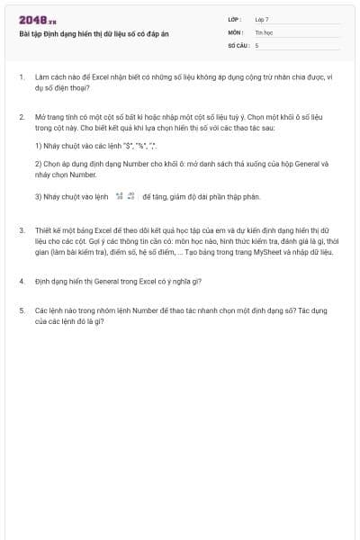 Bài tập Định dạng hiển thị dữ liệu số có đáp án