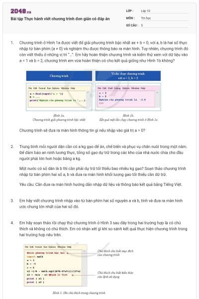 Bài tập Thực hành viết chương trình đơn giản có đáp án