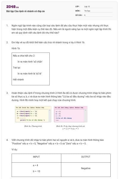 Bài tập Câu lệnh rẽ nhánh có đáp án