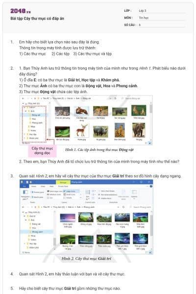 Bài tập Cây thư mục có đáp án