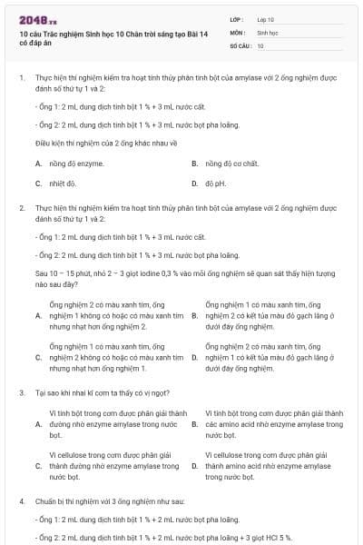 10 câu Trắc nghiệm Sinh học 10 Chân trời sáng tạo Bài 14 có đáp án