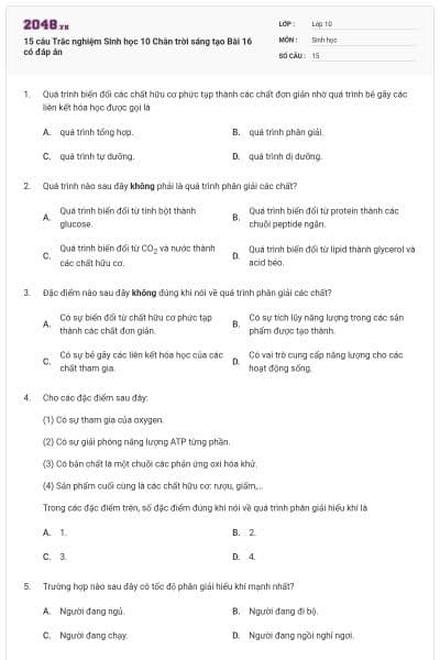 15 câu Trắc nghiệm Sinh học 10 Chân trời sáng tạo Bài 16 có đáp án