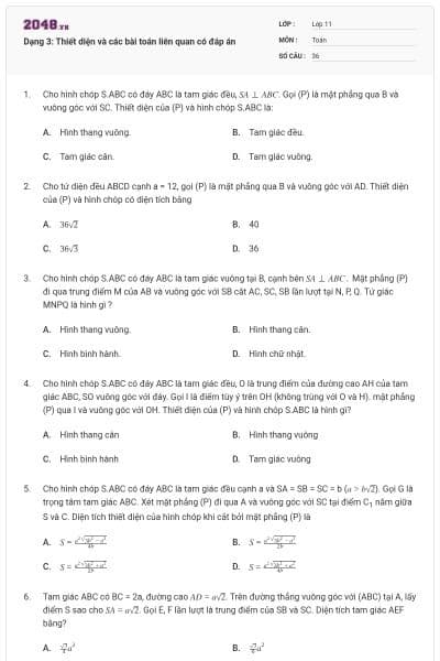 Dạng 3: Thiết diện và các bài toán liên quan có đáp án