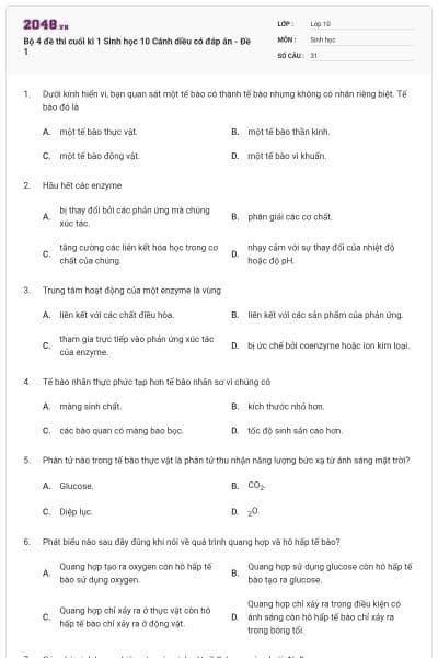 Bộ 4 đề thi cuối kì 1 Sinh học 10 Cánh diều có đáp án - Đề 1