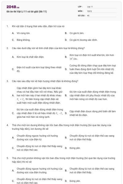 Đề ôn thi Vật Lí 11 có lời giải (Đề 11)