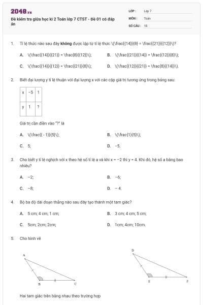 Đề kiểm tra giữa học kì 2 Toán lớp 7 CTST - Đề 01 có đáp án