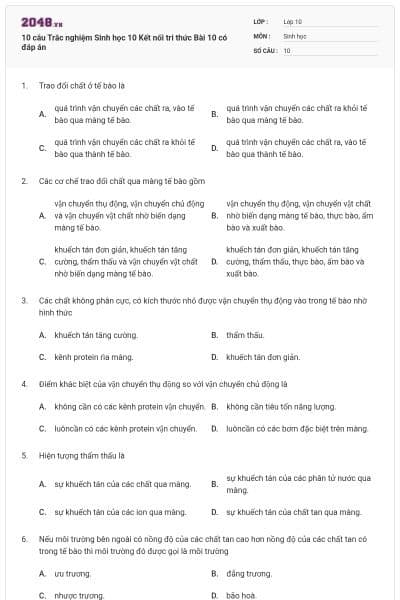 10 câu Trắc nghiệm Sinh học 10 Kết nối tri thức Bài 10 có đáp án