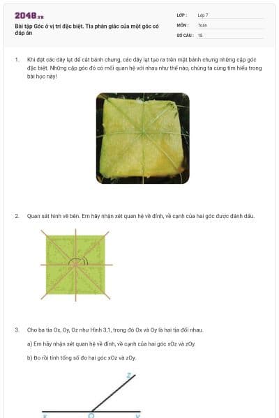 Bài tập Góc ở vị trí đặc biệt. Tia phân giác của một góc có đáp án