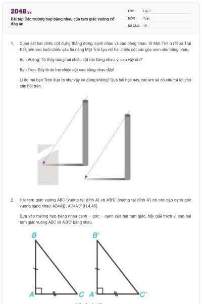 Bài tập Các trường hợp bằng nhau của tam giác vuông có đáp án
