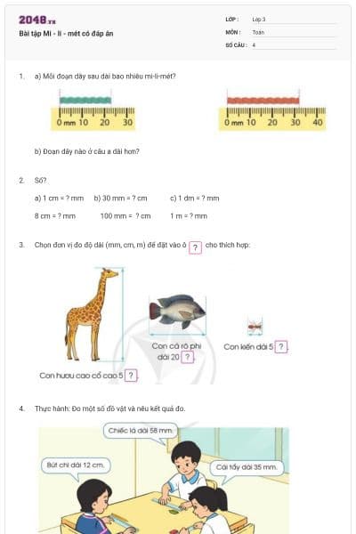 Bài tập Mi - li - mét có đáp án