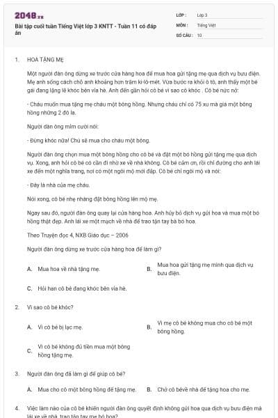 Bài tập cuối tuần Tiếng Việt lớp 3 KNTT - Tuần 11 có đáp án