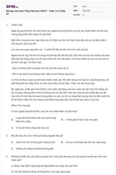 Bài tập cuối tuần Tiếng Việt lớp 3 KNTT - Tuần 13 có đáp án