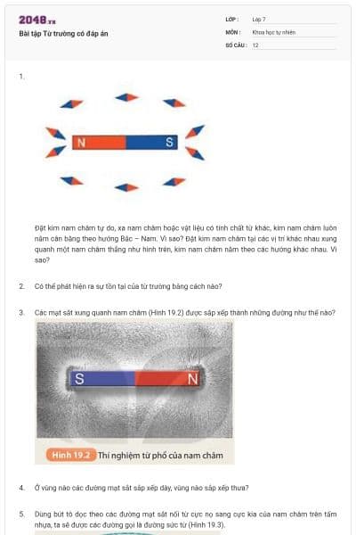 Bài tập Từ trường có đáp án