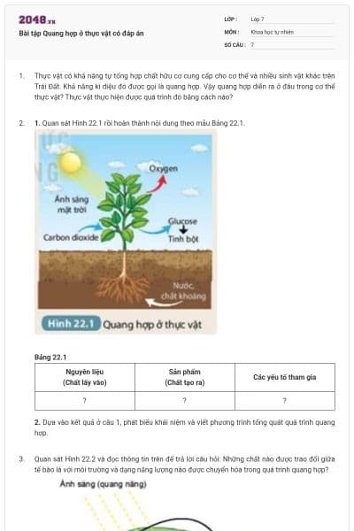 Bài tập Quang hợp ở thực vật có đáp án