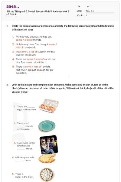 Bài tập Tiếng anh 7 Global Success Unit 5. A closer look 2 có đáp án