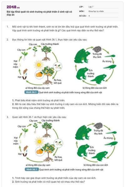 Bài tập Khái quát về sinh trưởng và phát triển ở sinh vật có đáp án