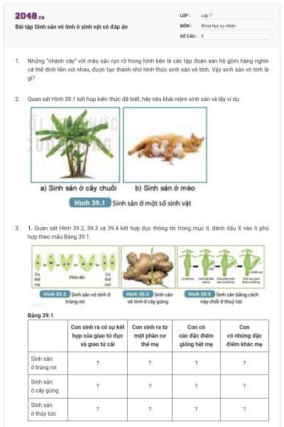 Bài tập Sinh sản vô tính ở sinh vật có đáp án