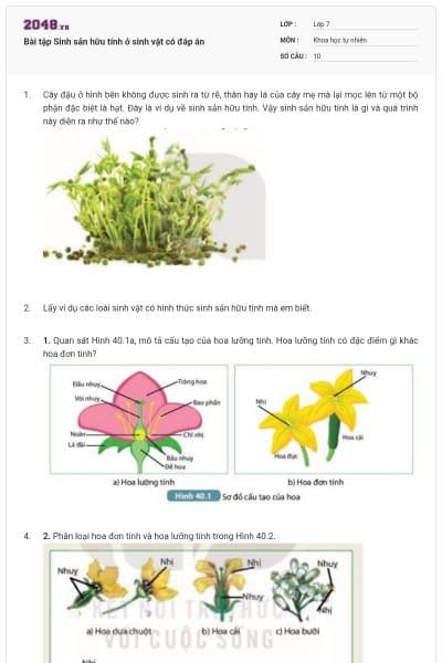 Bài tập Sinh sản hữu tính ở sinh vật có đáp án