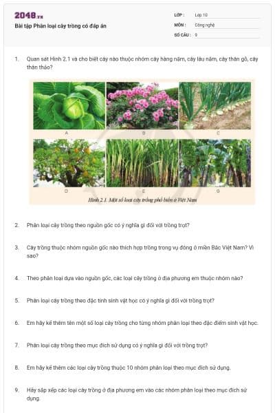 Bài tập Phân loại cây trồng có đáp án
