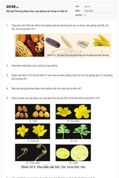 Bài tập Phương pháp chọn, tạo giống cây trồng có đáp án