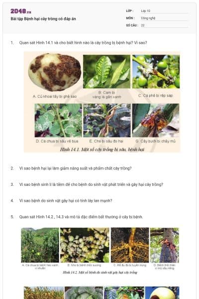 Bài tập Bệnh hại cây trồng có đáp án