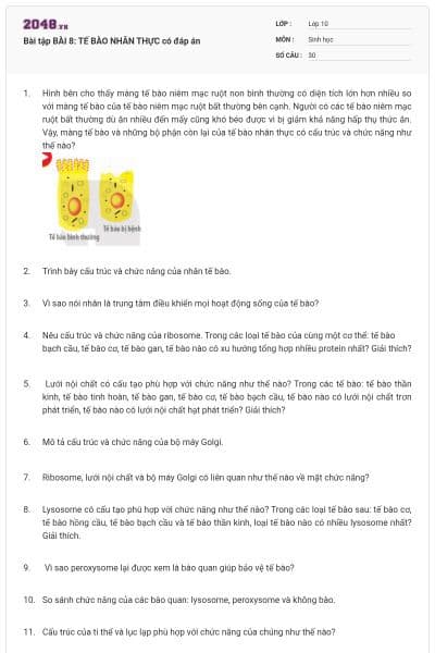 Bài tập BÀI 8: TẾ BÀO NHÂN THỰC có đáp án