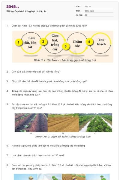 Bài tập Quy trình trồng trọt có đáp án