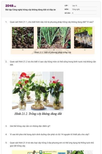 Bài tập Công nghệ trồng cây không dùng đất có đáp án