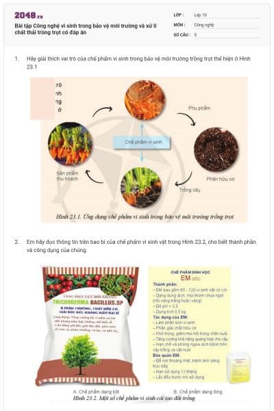 Bài tập Công nghệ vi sinh trong bảo vệ môi trường và xử lí chất thải trồng trọt có đáp án