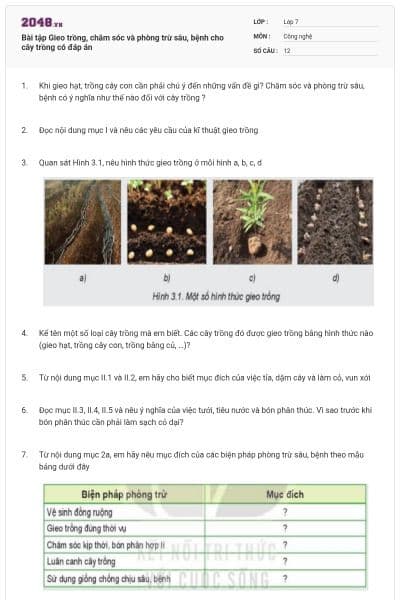 Bài tập Gieo trồng, chăm sóc và phòng trừ sâu, bệnh cho cây trồng có đáp án