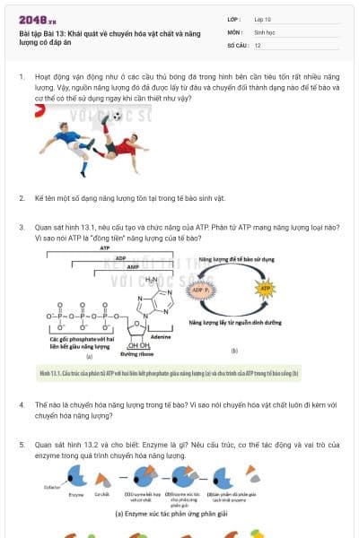 Bài tập Bài 13: Khái quát về chuyển hóa vật chất và năng lượng có đáp án