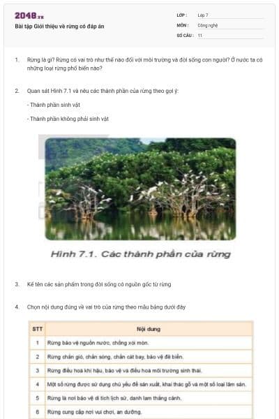 Bài tập Giới thiệu về rừng có đáp án