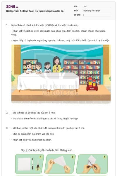 Bài tập Tuần 14 Hoạt động trải nghiệm lớp 3 có đáp án