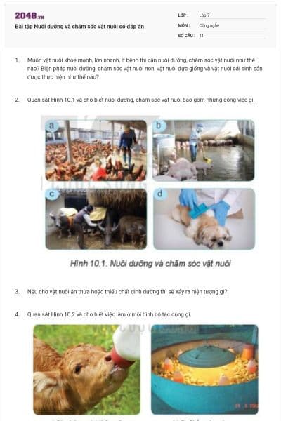 Bài tập Nuôi dưỡng và chăm sóc vật nuôi có đáp án