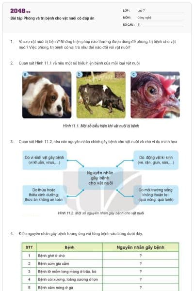 Bài tập Phòng và trị bệnh cho vật nuôi có đáp án