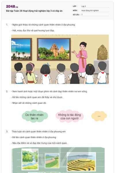 Bài tập Tuần 28 Hoạt động trải nghiệm lớp 3 có đáp án