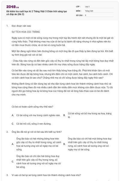 Đề kiểm tra cuối học kì 2 Tiếng Việt 3 Chân trời sáng tạo có đáp án (Đề 3)