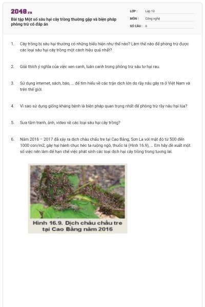 Bài tập Một số sâu hại cây trồng thường gặp và biện pháp phòng trừ có đáp án