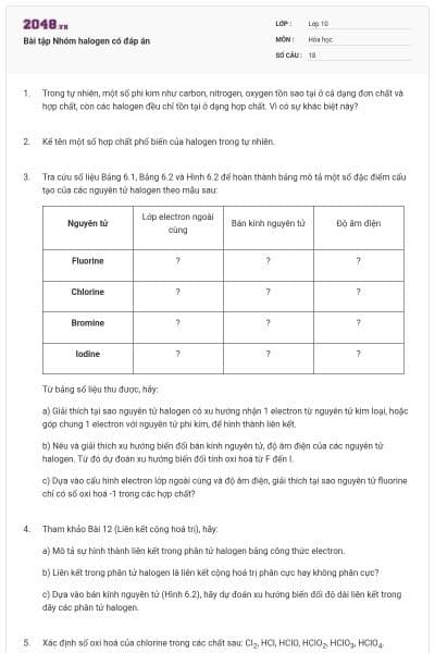 Bài tập Nhóm halogen có đáp án