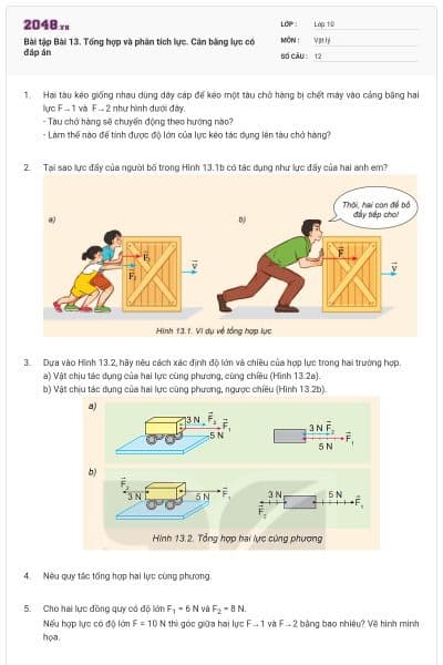 Bài tập Bài 13. Tổng hợp và phân tích lực. Cân bằng lực có đáp án